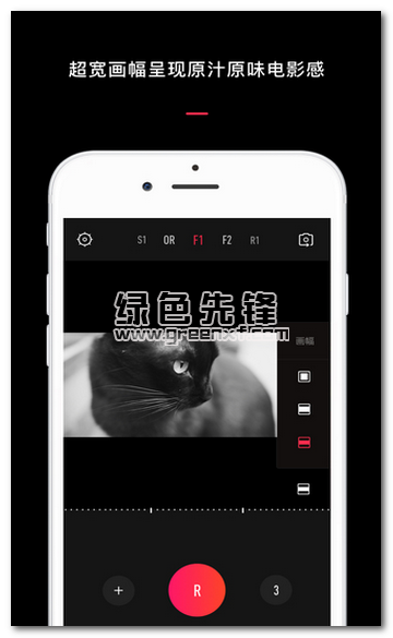 VUE下载