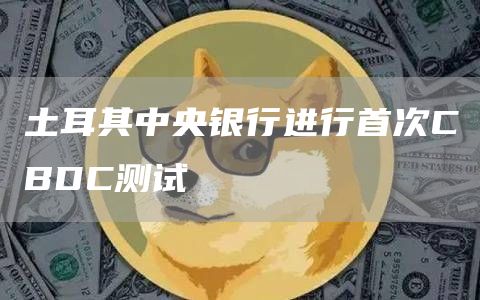 土耳其中央银行进行首次CBDC测试1