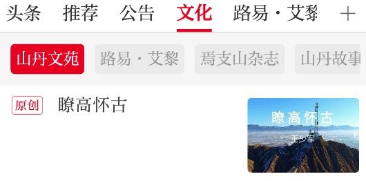 新山丹app最新版