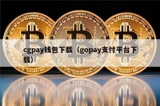 cgpay钱包下载（gopay支付平台下载）