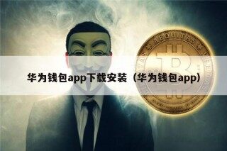 华为钱包app下载安装（华为钱包app）