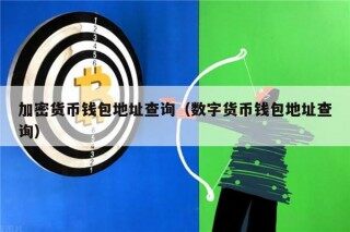 加密货币钱包地址查询（数字货币钱包地址查询）