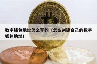 数字钱包地址怎么弄的（怎么创建自己的数字钱包地址）