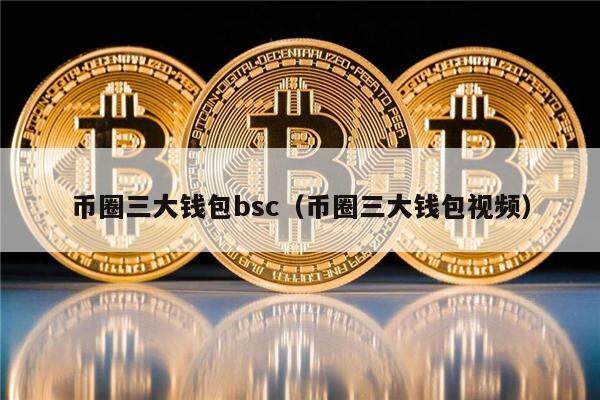币圈三大钱包bsc（币圈三大钱包视频）-第1张图片-欧易下载