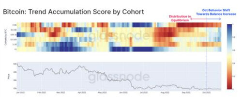 比特币分析师绘制出BTC 价格走势的关键牛市和熊市案例-第5张图片-欧易下载