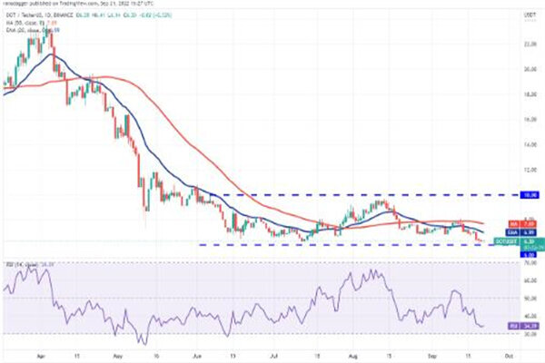 波卡币价格今日行情 DOT币最新行情资讯-第2张图片-欧易下载