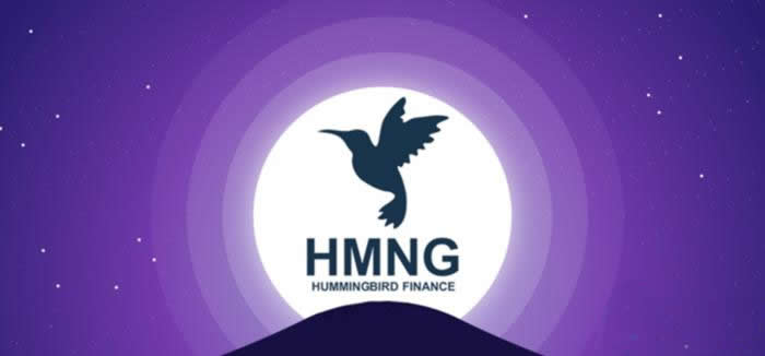 一个蜂鸟币价格多少?HMNG/蜂鸟币历史价格一览1