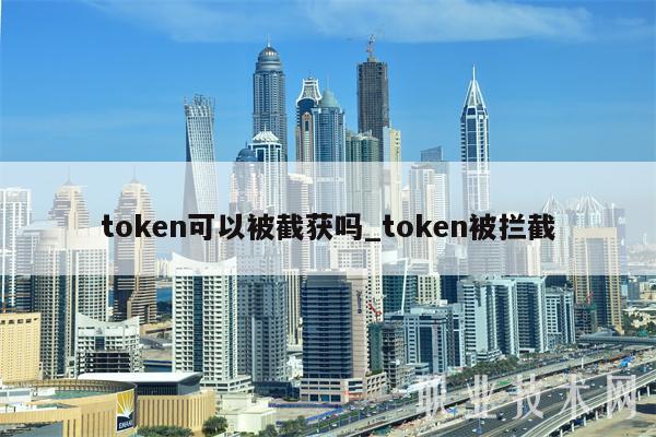 token可以被截获吗_token被拦截