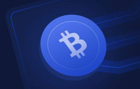 全球十大usdt热门钱包 全球知名usdt交易钱包大全-第1张图片-欧易下载