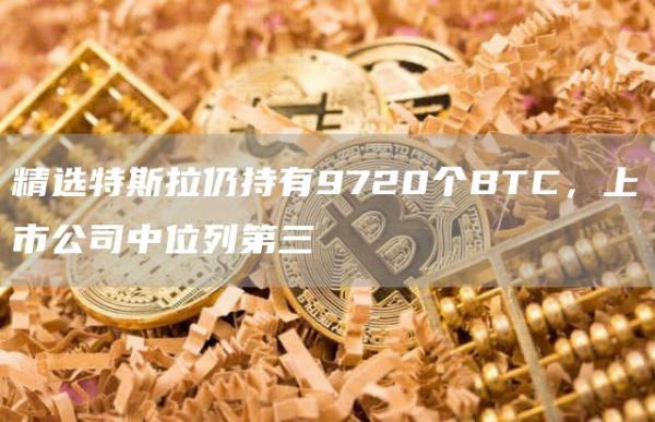 精选特斯拉仍持有9720个BTC，上市公司中位列第三1