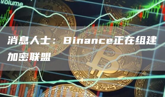 消息人士：Binance正在组建加密联盟1