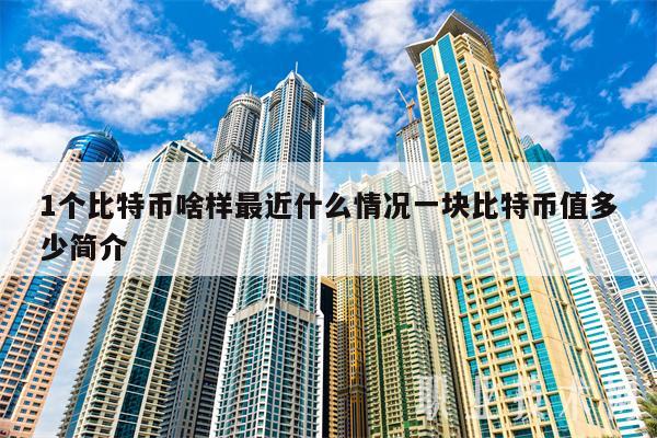 1个比特币啥样最近什么情况一块比特币值多少简介