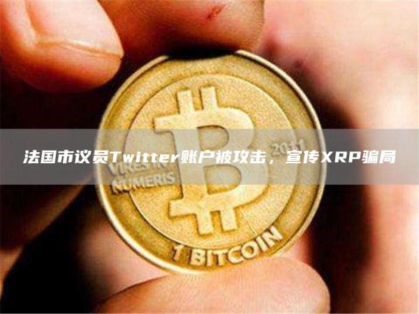 法国市议员Twitter账户被攻击，宣传XRP骗局1