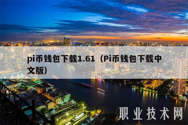 pi币钱包下载1.61(Pi币钱包下载中文版)