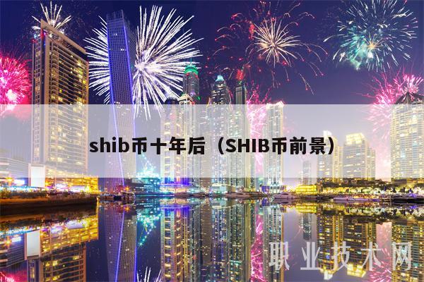 shib币十年后(SHIB币前景)