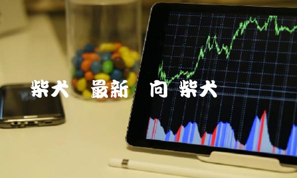 柴犬币最新动向 柴犬币疯涨