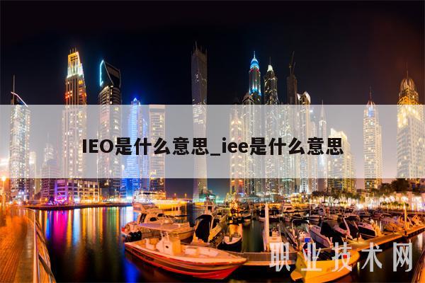 IEO是什么意思_iee是什么意思