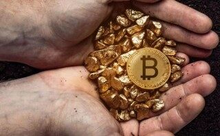 狗狗币最新消息(狗狗币最新消息啊力)