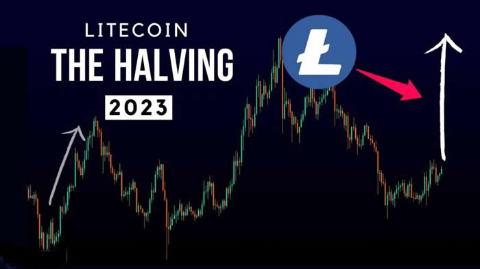 莱特币减半结束后还会大涨吗?莱特币减半分析1