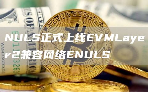 NULS正式上线EVMLayer2兼容网络ENULS1