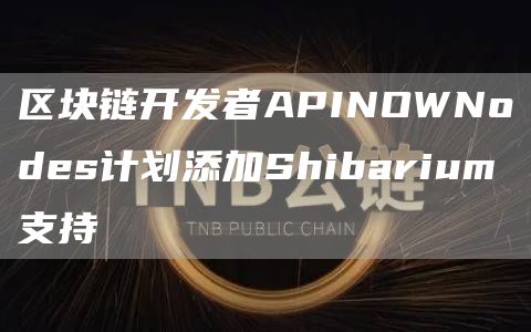 区块链开发者APINOWNodes计划添加Shibarium支持1