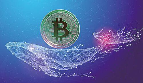 (btc期货交易平台安装)btc虚拟币期货交易APP地址-第1张图片-欧易下载 (btc期货交易平台安装)btc虚拟币期货交易APP地址-第1张图片-欧易下载