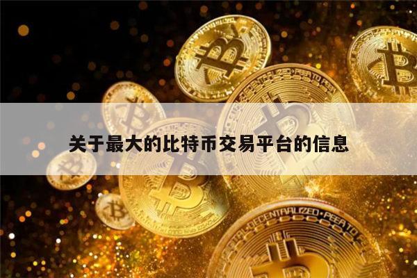 关于最大的比特币交易平台的信息 第1张 关于最大的比特币交易平台的信息 第1张