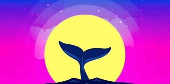 比特币交易投资软件榜单 数字货币交易所app盘点-第1张图片-欧易下载