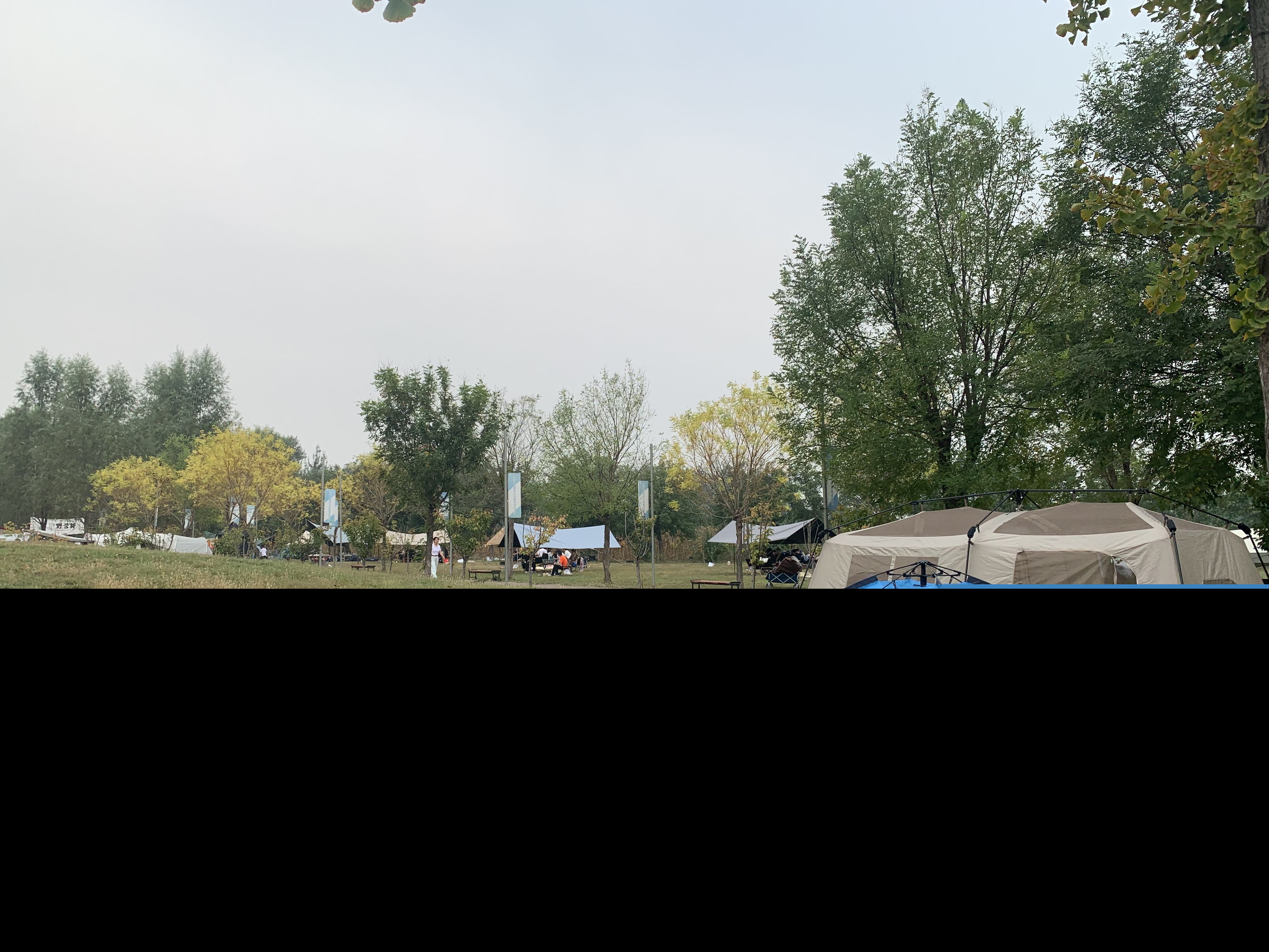 文华财经随身行下载（文华财经随身行下载app）-第3张图片-欧易下载