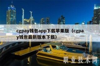 cgpay钱包app下载苹果版（cgpay钱包最新版本下载）