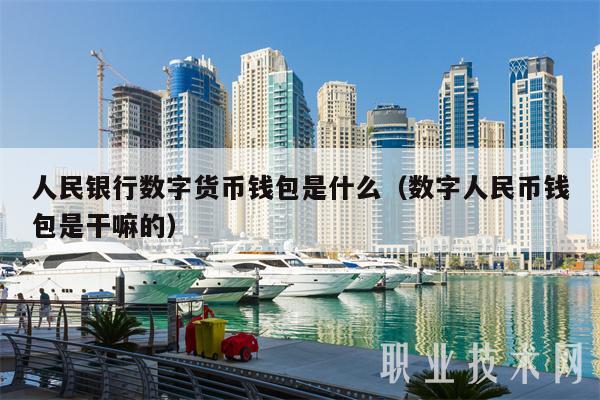 人民银行数字货币钱包是什么(数字人民币钱包是干嘛的)