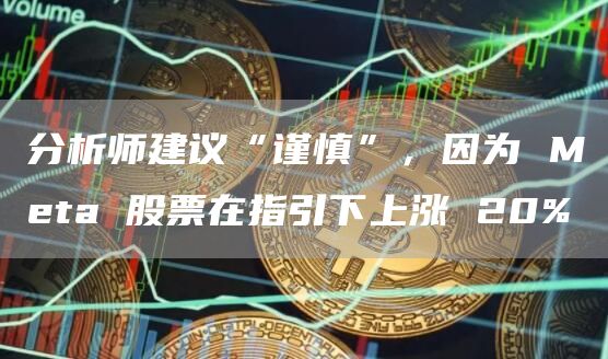 分析师建议“谨慎”，因为Meta股票在指引下上涨20%1