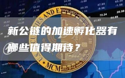 新公链的加速孵化器有哪些值得期待？1