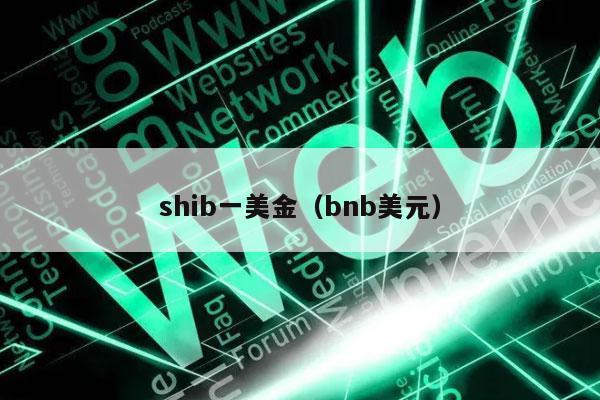 shib一美金(bnb美元)