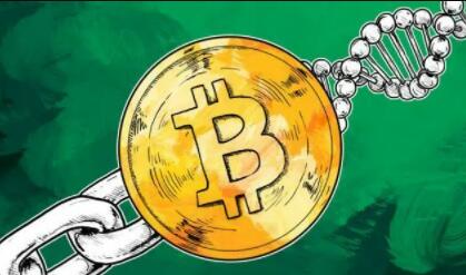 在哪买比特币的软件？比可用比特币交易的平台-第2张图片-欧易下载