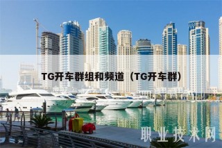 TG开车群组和频道（TG开车群）