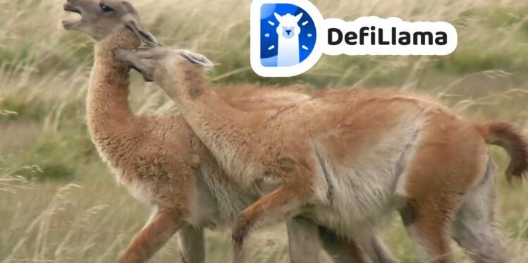 DeFiLlama创始人想发币引分叉！AndreCronje：没代币将财务困难1
