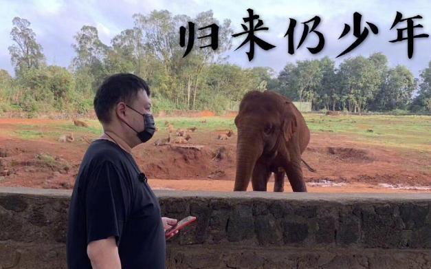 大象传媒软件下载（大象传媒软件下载苹果版）-第3张图片-欧易下载