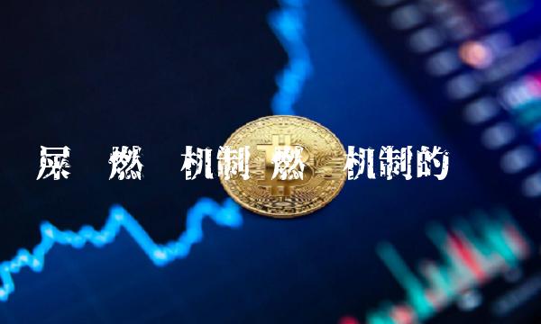屎币燃烧机制 燃烧机制的币种