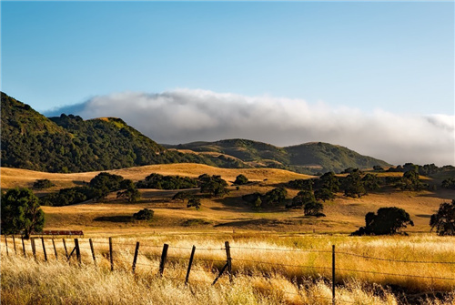 蔡文胜相关地址昨日以来已将3800枚ETH转入币安-第1张图片-欧易下载