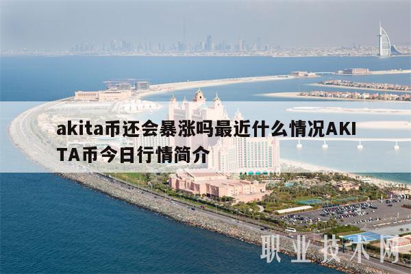 akita币还会暴涨吗最近什么情况AKITA币今日行情简介