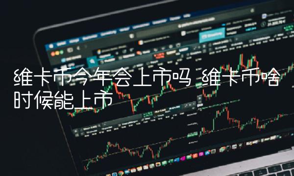 维卡币今年会上市吗 维卡币啥时候能上市