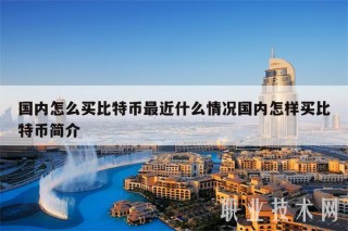 国内怎么买比特币最近什么情况国内怎样买比特币简介