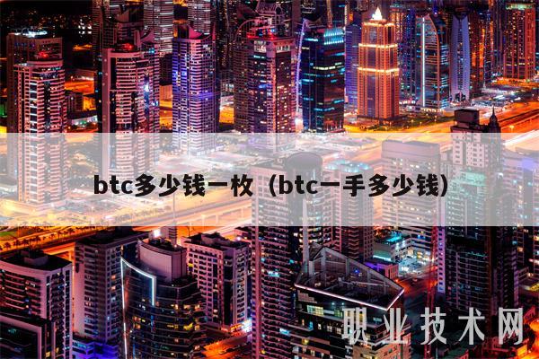 btc多少钱一枚(btc一手多少钱)