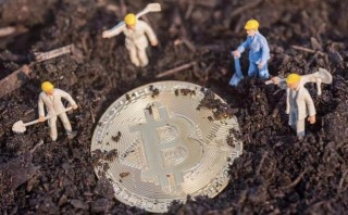 挖比特币需要什么样的网络设备,挖比特币需要什么样的网络