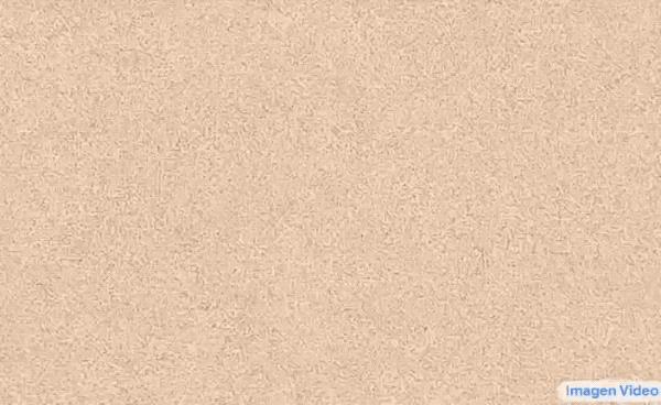 chat down,chatplus-第4张图片-欧易下载