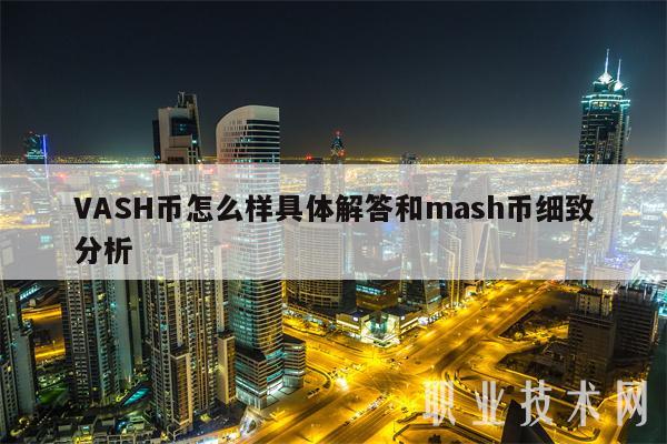 VASH币怎么样具体解答和mash币细致分析