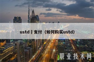 ustd帶支付（如何购买ustd