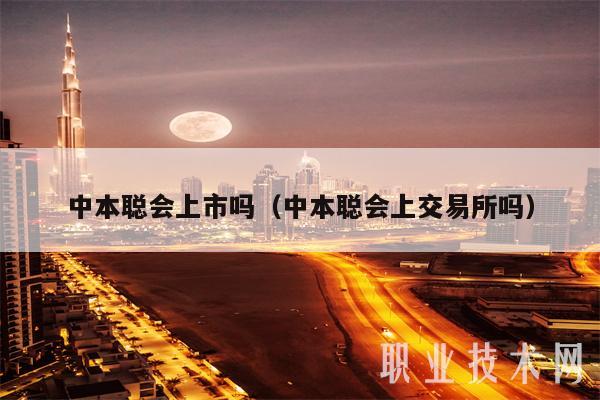 中本聪会上市吗(中本聪会上交易所吗)