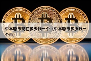 中本聪币现在多少钱一个（中本聪币多少钱一个币）